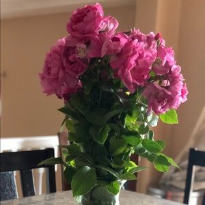 Meet your Posher, Anahy